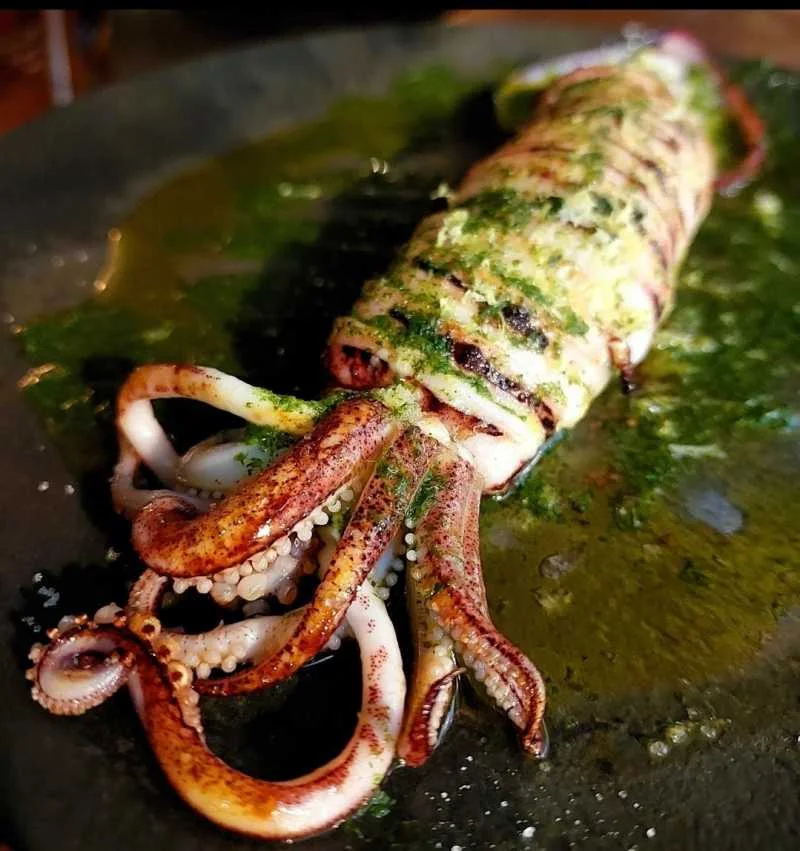 Lula ao Mediterrâneo