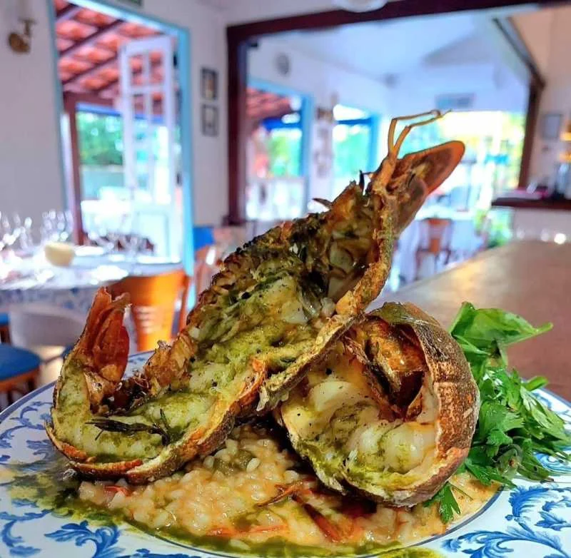 Cavaquinha com Risoto à Provençal