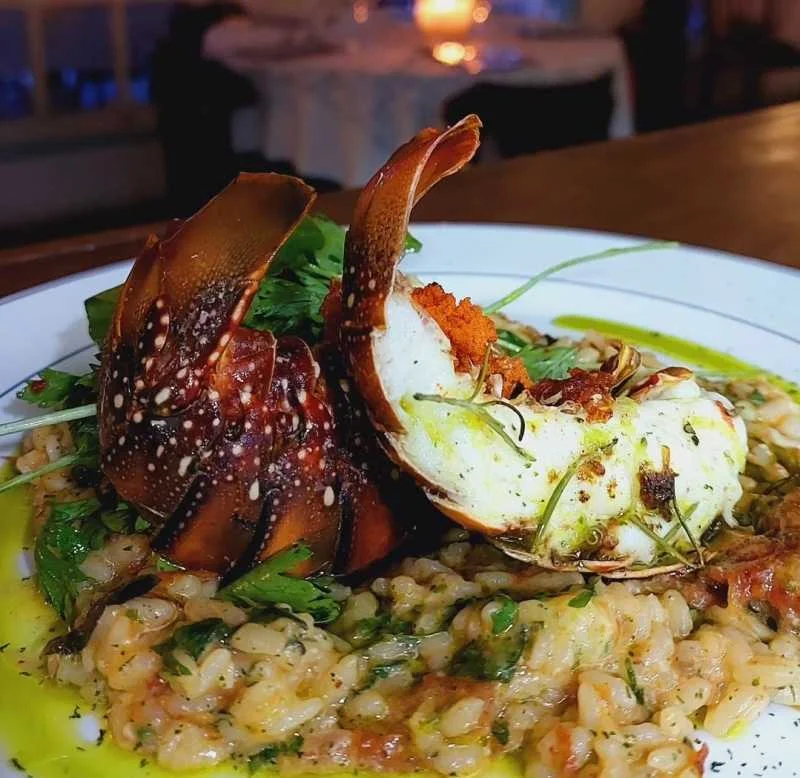 Lagosta com Risoto à Provençal